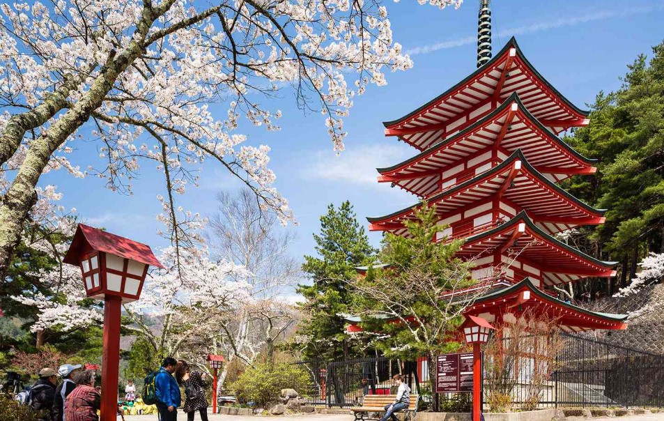 Best Time to Visit Japan on a Cheap Budget