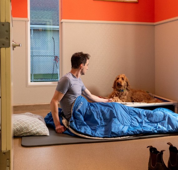 The 10 Best Cheap Pet friendly Hotels Near me New York, USA