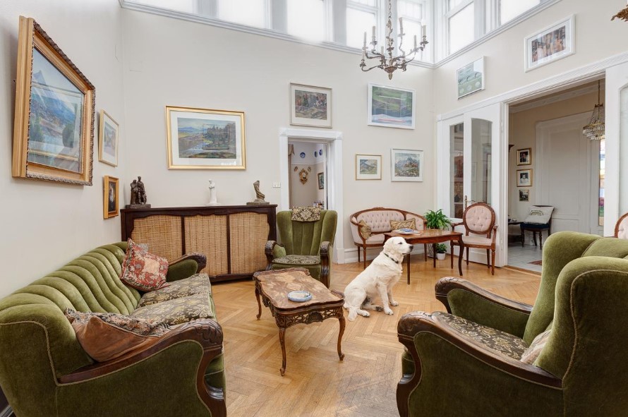 The 10 Best Cheap Pet friendly Hotels Near me New York, USA