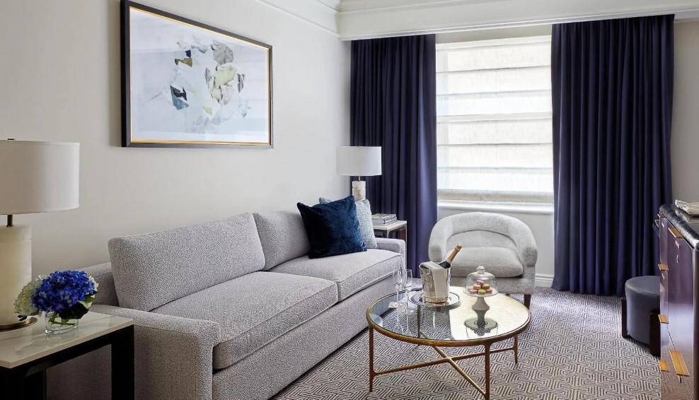 The 10 Best Cheap Pet friendly Hotels Near me New York, USA